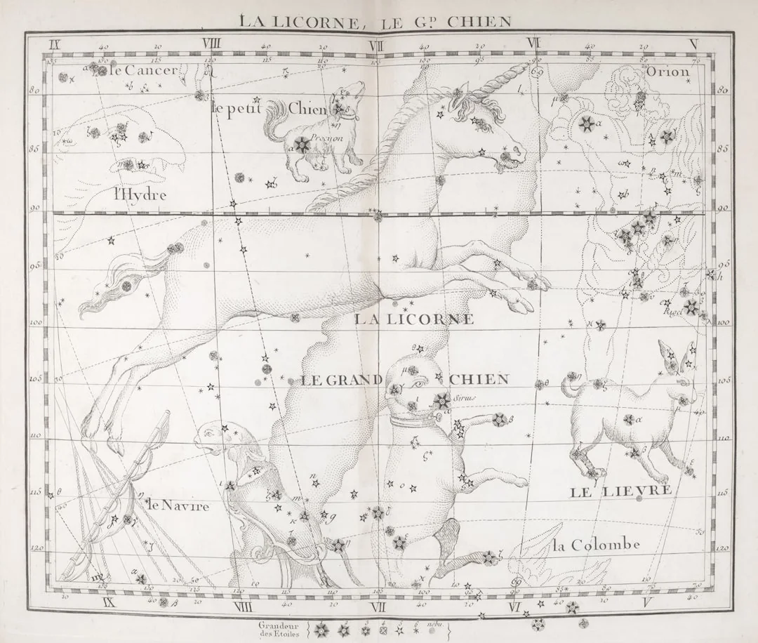 15 de novembro signo: 7 fases da vida de quem nasce nessa data (Escorpião ou Sagitário?)