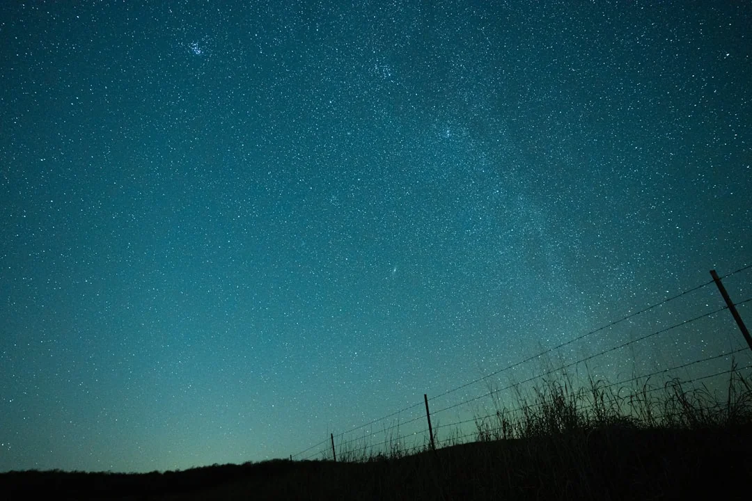 1995 Signo Chinês: O Guia Completo do Porco de Madeira (Yin) – Sorte, Amor e Carreira
