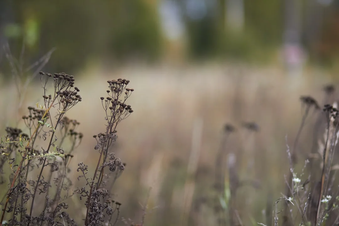 7 traços de personalidade de quem nasce em 1 de maio (signo Touro) — Autoconhecimento no Horoscopo Certo