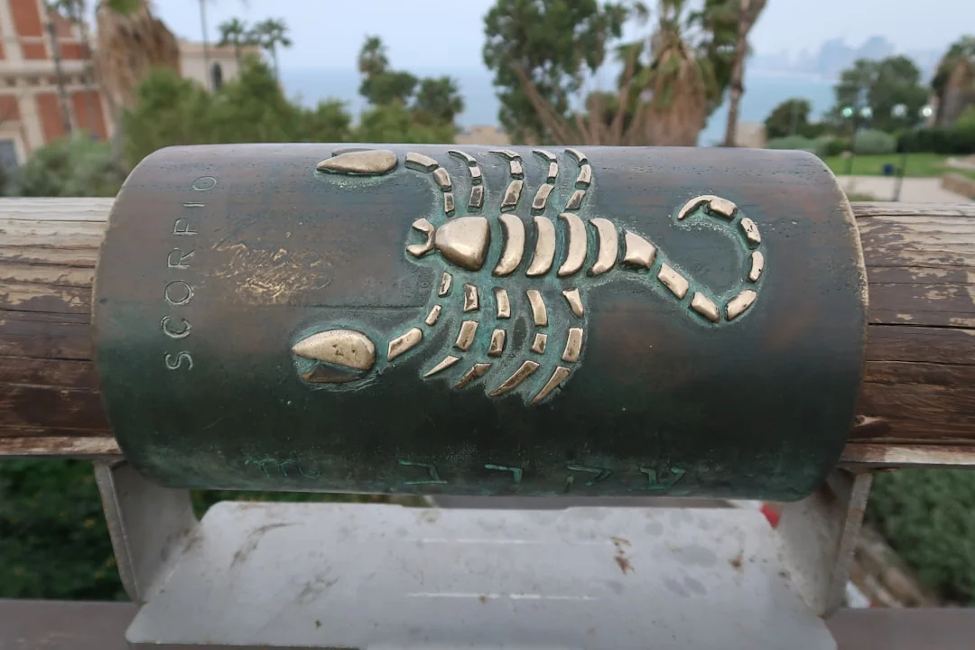 7 verdades sobre o signo de 12 de julho: Câncer ou Leão?