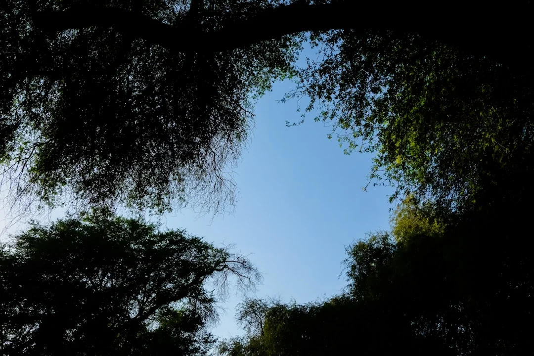 Como identificar seus padrões emocionais: guia completo com 7 técnicas astrológicas