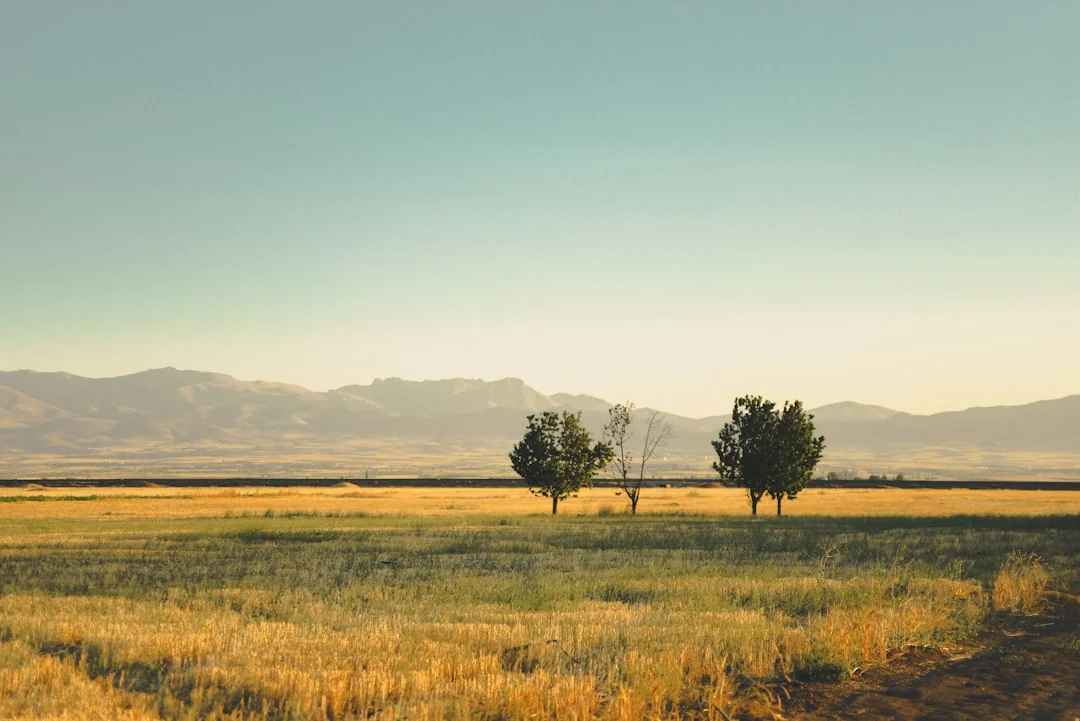 Sombra e Luz: Guia Completo para Integrar os 12 Arquétipos do Zodíaco — Autoconhecimento no Horoscopo Certo